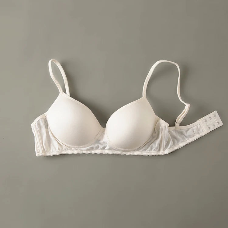 Wireless bra 100% Pure Silk seamless padded bras for women push up bralette bralet bralett Female Underwear Intimates sutyen