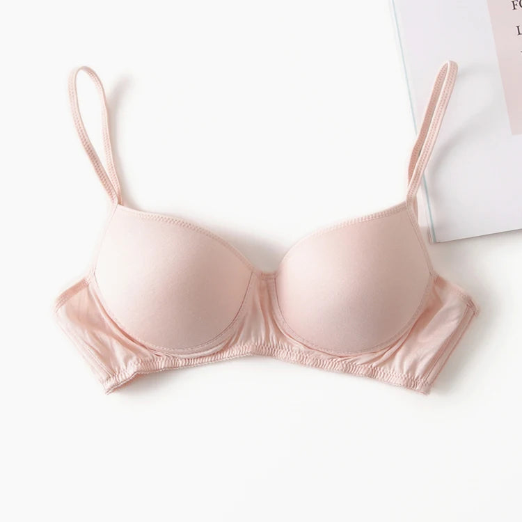 Wireless bra 100% Pure Silk seamless padded bras for women push up bralette bralet bralett Female Underwear Intimates sutyen