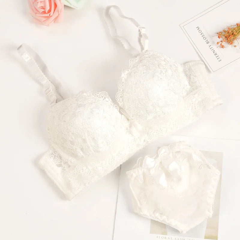 Push-up Bra and Panty Sets  Beauty Back Sexy Women's Underwear Set Lace Female Brassiere Embroidery Lingerie Set