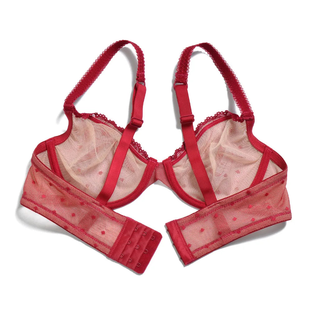 New Sexy Bras Lace Ultra Thin Underwire See Through Plus Size Transparent Bras For Women Lingerie