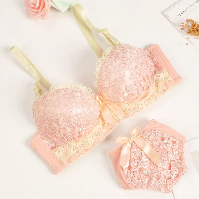 Push-up Bra and Panty Sets  Beauty Back Sexy Women's Underwear Set Lace Female Brassiere Embroidery Lingerie Set