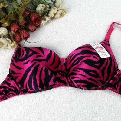 Big Cup Bra  100% Silk  Bra  C D  CUP