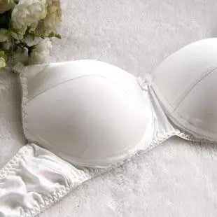 Big Cup Bra  100% Silk  Bra  C D  CUP