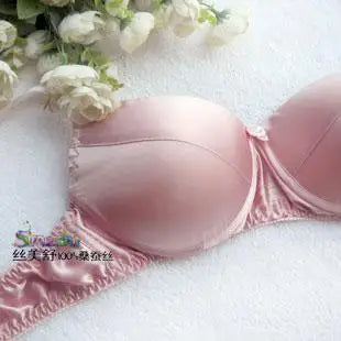 Big Cup Bra  100% Silk  Bra  C D  CUP