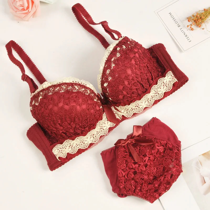 Push-up Bra and Panty Sets  Beauty Back Sexy Women's Underwear Set Lace Female Brassiere Embroidery Lingerie Set