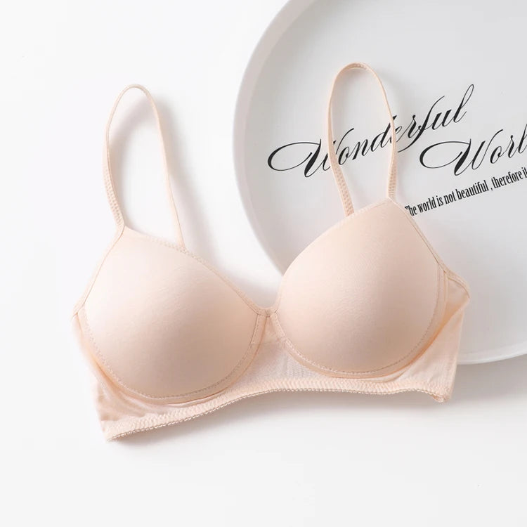 Wireless bra 100% Pure Silk seamless padded bras for women push up bralette bralet bralett Female Underwear Intimates sutyen