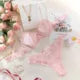 Sexy Lingerie Set Women Sheer Lace Bra and Panty Set with Bow Trim Elegant Erotic Underwear Transparent Intimates for Her