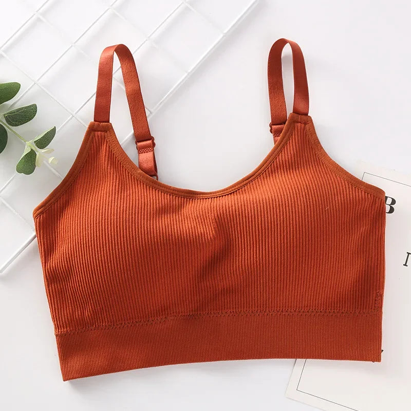 Wireless Seamless Bra for Women Cotton Comfort No Steel Ring Padded Sports Lingerie Top Beauty Back Multi Color Bralette