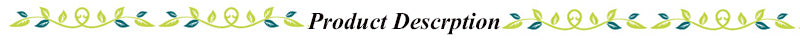 Deep U-Shaped Plunge Bra Lift Up Low Back Wirefree Bra Women Underwear Women's U-Shaped Sexy Lingerie For Backless Dress
