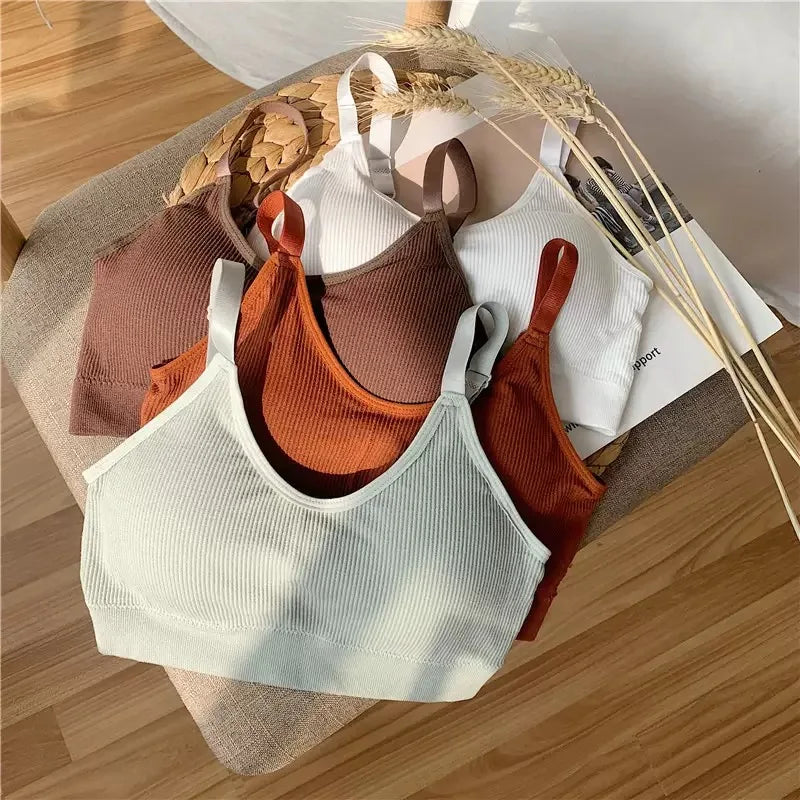 6 pcs seamless ribbed fabric bra with padded cups for shaping the bust, sheer top, back support, adjustable shoulder straps br