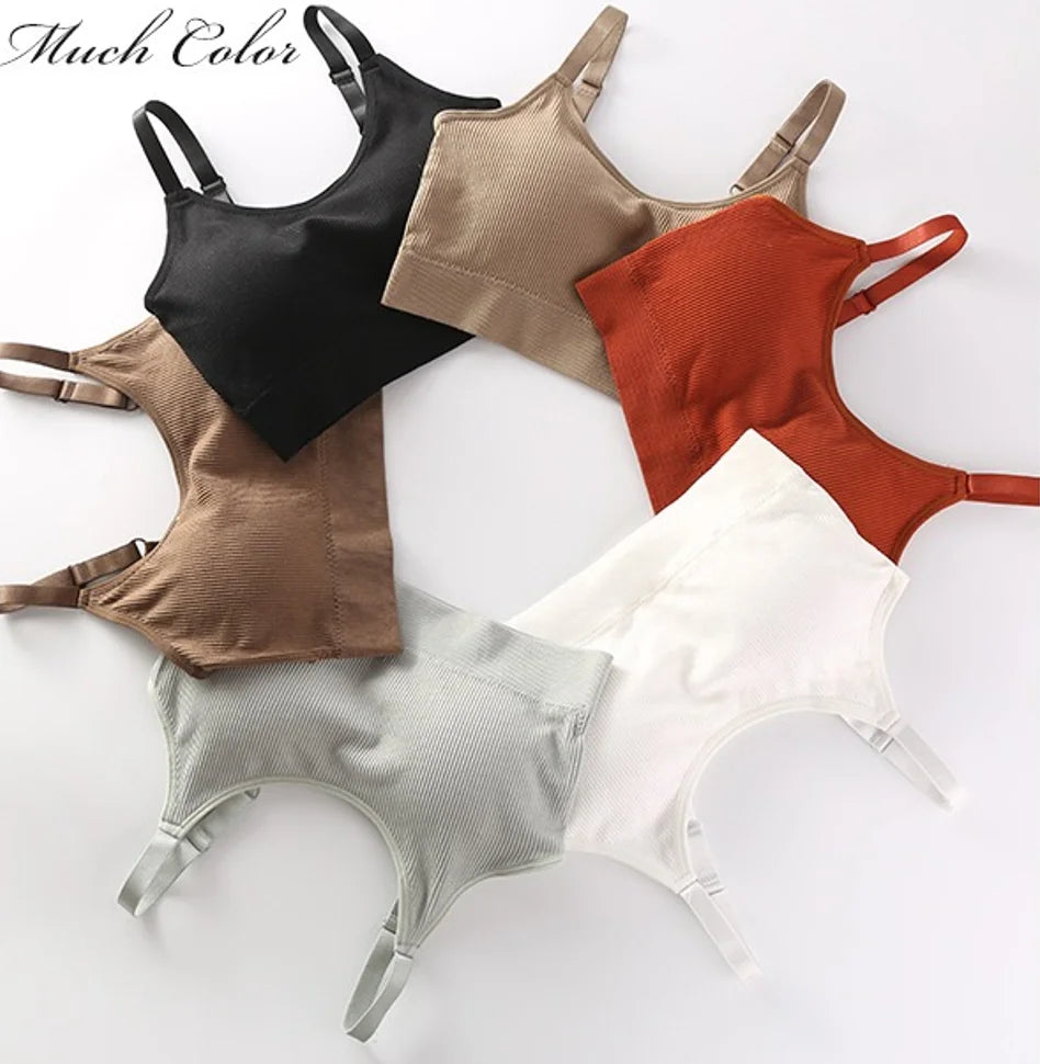 6 pcs seamless ribbed fabric bra with padded cups for shaping the bust, sheer top, back support, adjustable shoulder straps br