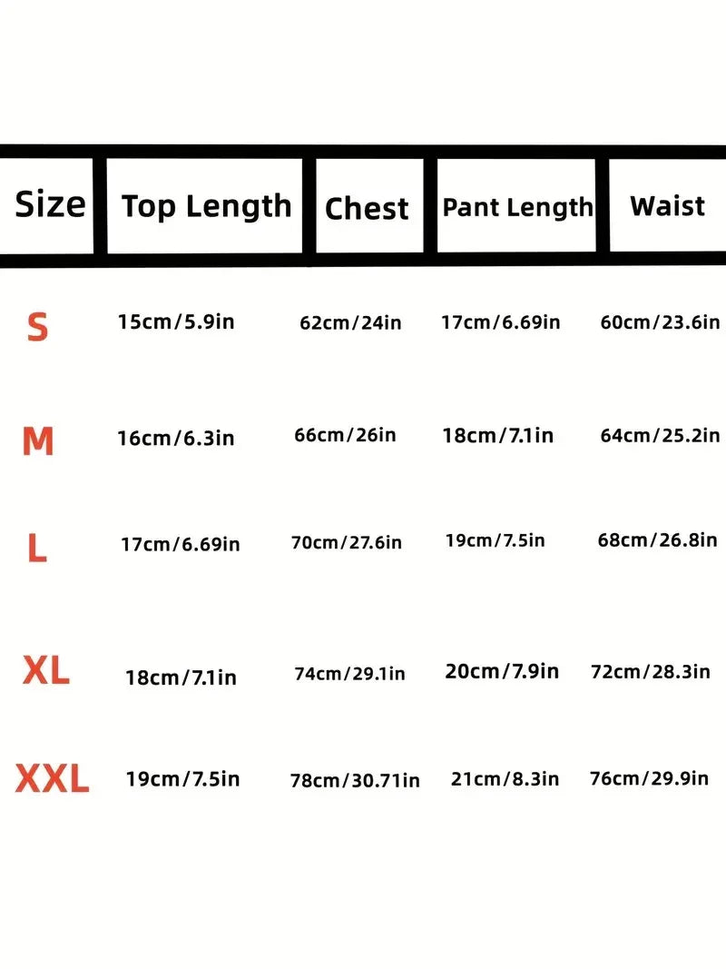 For Women Erotic Mesh Panties Set Lingerie Sleepwear Two Piece Printed Sexy Transparent Set Sujetadores Sexys Teddies Bodysuits