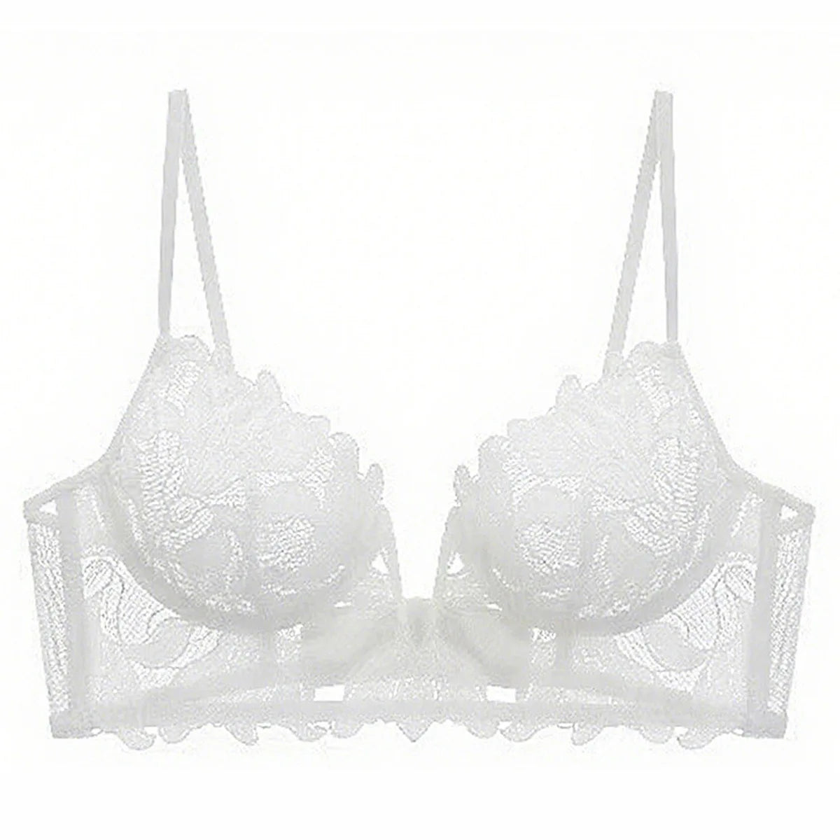 Women Lace Lingerie Set Elegant Sexy Bra Set See Through Underwear Ventilate Ladies Bra and Panty Set