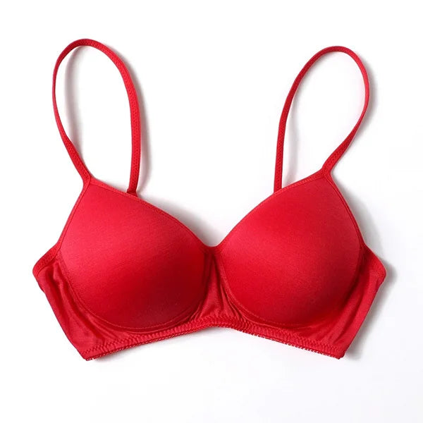 Wireless bra 100% Pure Silk seamless padded bras for women push up bralette bralet bralett Female Underwear Intimates sutyen