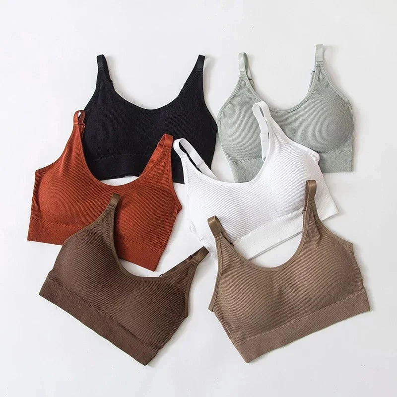 Wireless Seamless Bra for Women Cotton Comfort No Steel Ring Padded Sports Lingerie Top Beauty Back Multi Color Bralette