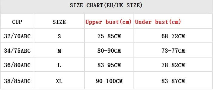 Women Lace Lingerie Set Elegant Sexy Bra Set See Through Underwear Ventilate Ladies Bra and Panty Set