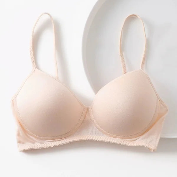 Wireless bra 100% Pure Silk seamless padded bras for women push up bralette bralet bralett Female Underwear Intimates sutyen