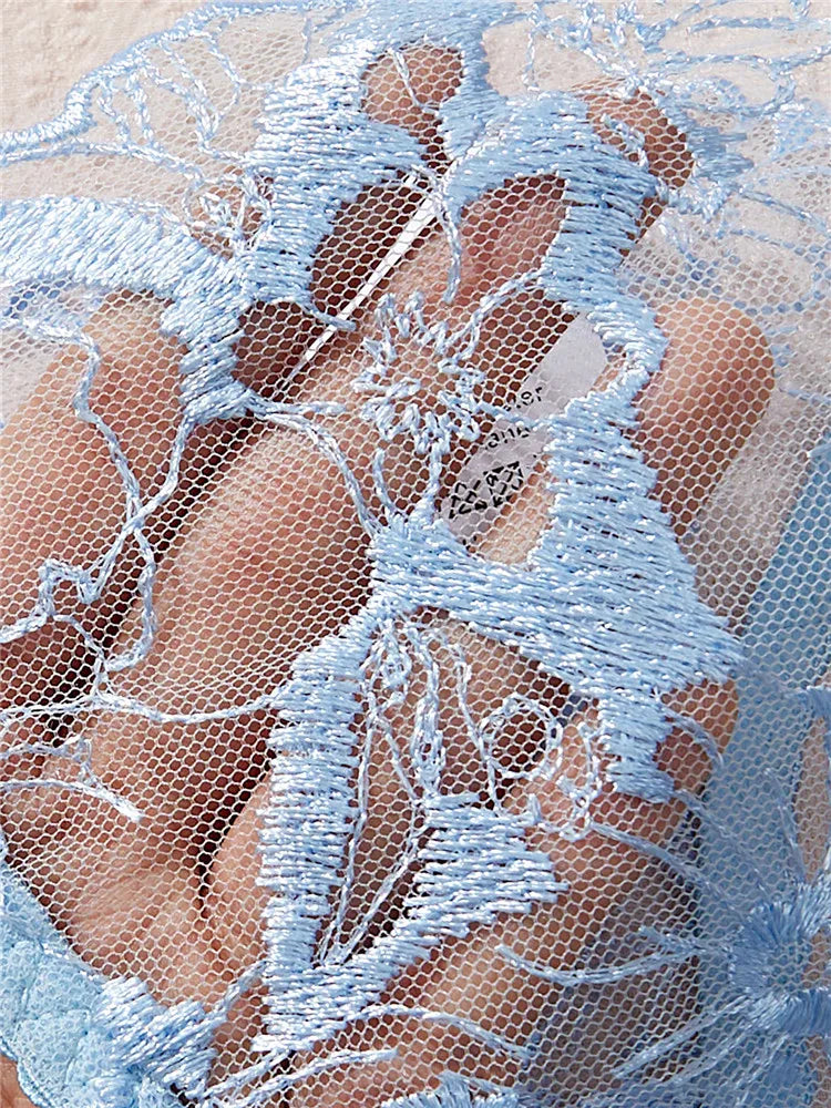 Sexy Lingerie Set Embroidery Romantic Bra Brief Set Transparent Underwear Thong New Fashion Lace See Through Blue Exotic Sets