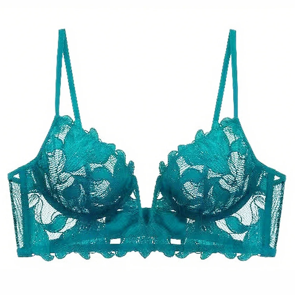 Women Lace Lingerie Set Elegant Sexy Bra Set See Through Underwear Ventilate Ladies Bra and Panty Set