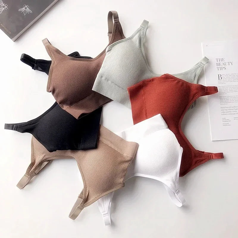 Wireless Seamless Bra for Women Cotton Comfort No Steel Ring Padded Sports Lingerie Top Beauty Back Multi Color Bralette