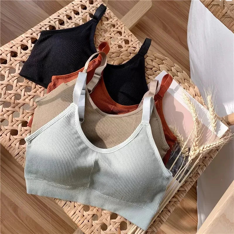 6 pcs seamless ribbed fabric bra with padded cups for shaping the bust, sheer top, back support, adjustable shoulder straps br