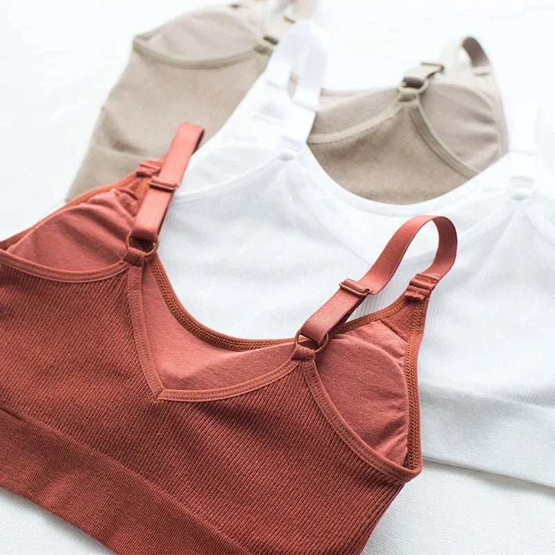 Wireless Seamless Bra for Women Cotton Comfort No Steel Ring Padded Sports Lingerie Top Beauty Back Multi Color Bralette