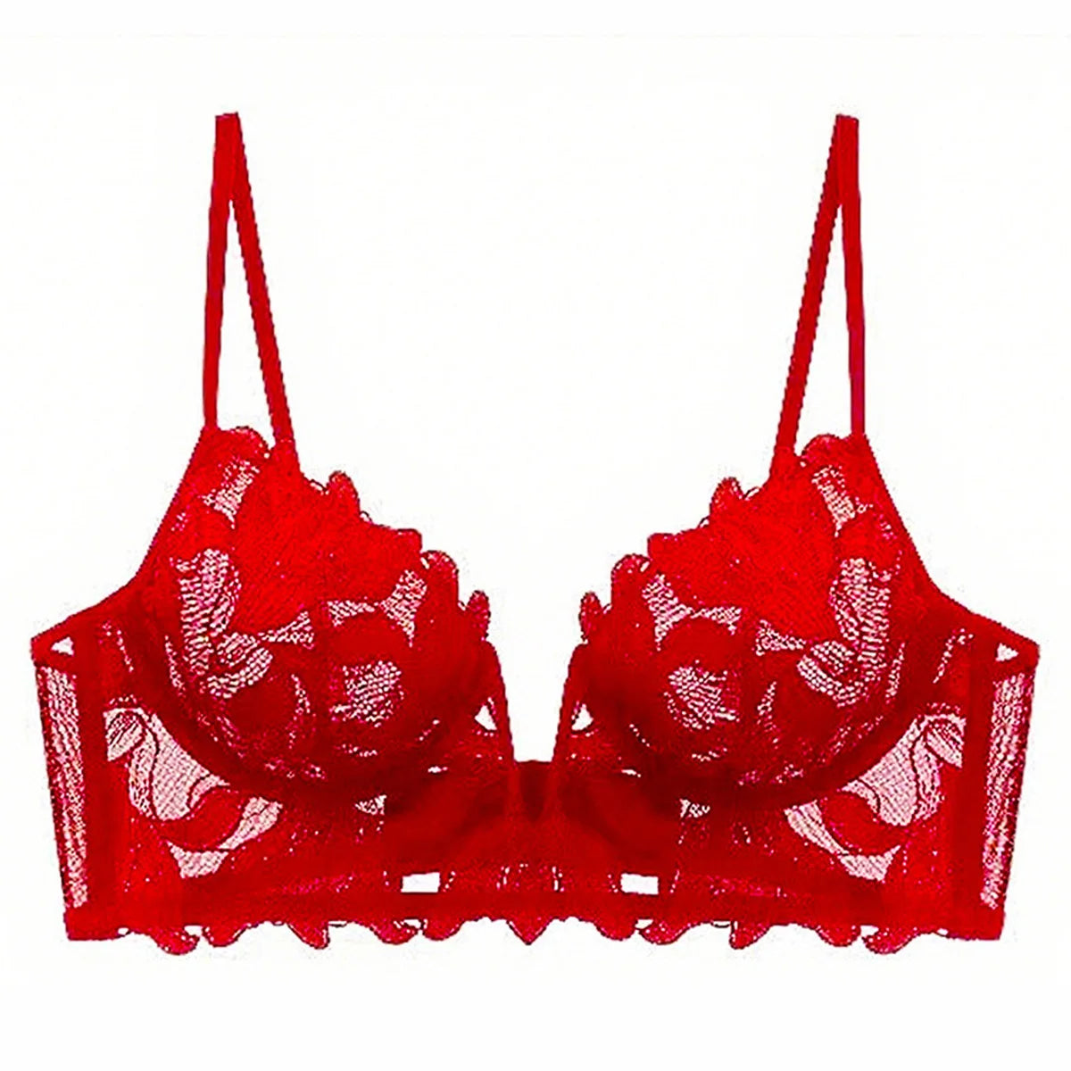 Women Lace Lingerie Set Elegant Sexy Bra Set See Through Underwear Ventilate Ladies Bra and Panty Set