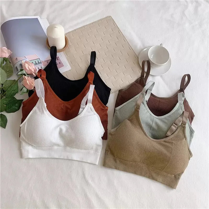 6 pcs seamless ribbed fabric bra with padded cups for shaping the bust, sheer top, back support, adjustable shoulder straps br
