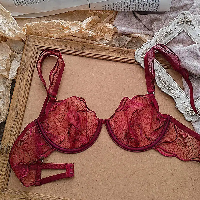 Erotic Lingerie Sets Sheer Transparent Lace Bras for Women Sexy Embroidery Push Up Bra and Thong Matching Set  Underwear Women